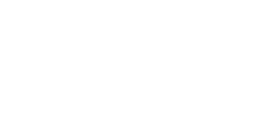 默认